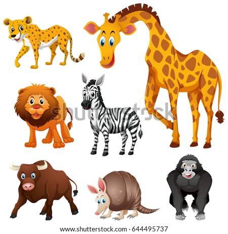 Different Types Jungle Animal Illustration Stock Vector 644495737