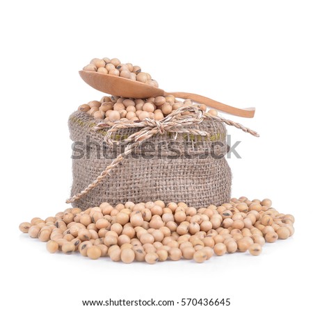 Soybean isolated on white