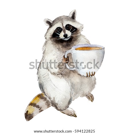 Raccoon Coffee Mug Animal Character Isolated Stock 