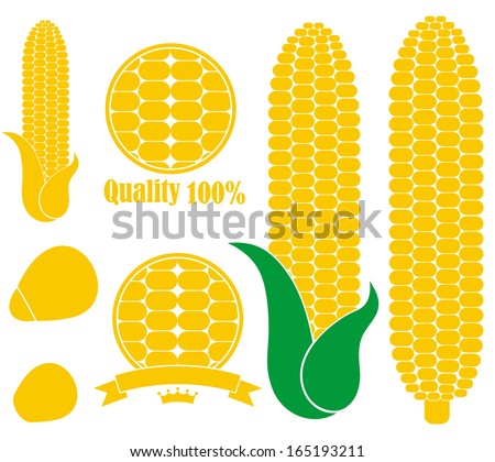 Corn logo. Isolated corn on white background