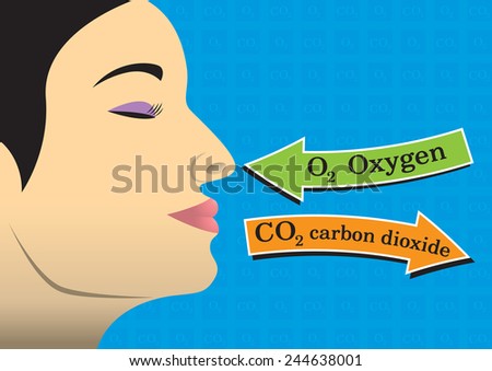 metaphor of inhaling and exhaling to Chapters 5 and 6 in the book bridges not walls utilize the metaphor of inhaling and exhaling to explore interpersonal communication applying material from the various essays, explore the two concepts and explain how they further our understanding of interpersonal communication from the. metaphor of inhaling and exhaling to Chapters 5 and 6 in the book bridges not walls utilize the metaphor of inhaling and exhaling to explore interpersonal communication applying material from the various essays, explore the two concepts and explain how they further our understanding of interpersonal communication from the.