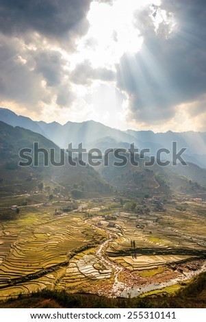 Terraced Rice Fields in Vietnam
