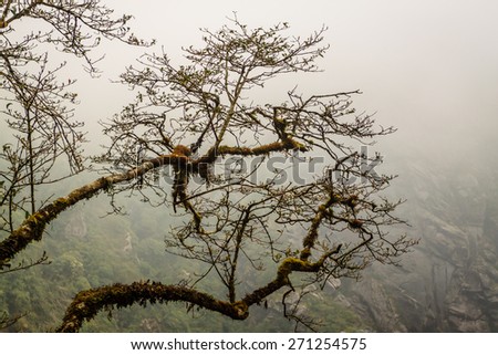 Mountain at Vietnam