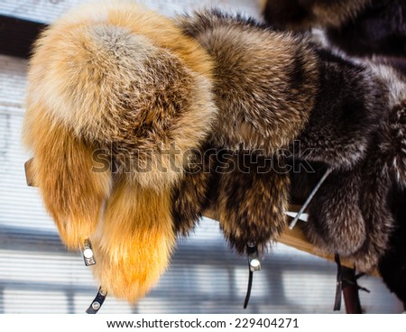 Russian sable Stock Photos, Images, & Pictures | Shutterstock