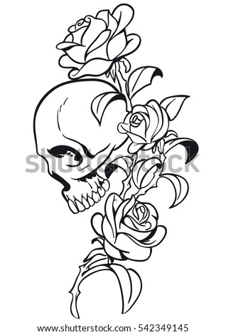 skull and roses stock images royalty free images u0026 vectors skull and roses stock images royalty free images u0026 vectors