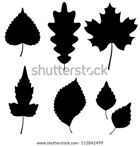 Leaves silhouette Stock Photos, Images, & Pictures | Shutterstock