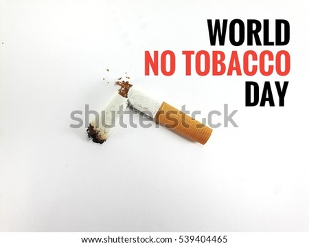 no tobacco essays 100% free papers on no tobacco essays sample topics, paragraph introduction help, research & more class 1-12, high school & college. no tobacco essays 100% free papers on no tobacco essays sample topics, paragraph introduction help, research & more class 1-12, high school & college.