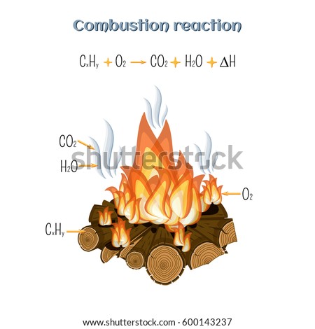 Combustion Reaction Wood Burning Fire Camp Stock Vector ... education synthesis diagram 