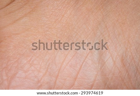up human skin texture macro stock photo 293974619 human skin stock images royalty free images vectors up human skin texture macro stock photo 293974619 human skin stock images royalty free images vectors