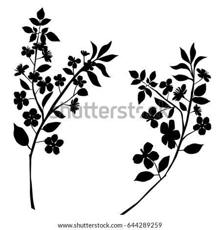 Flower Branch Stock Images, Royalty-Free Images & Vectors | Shutterstock