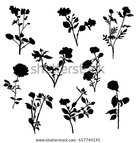 Flowers Silhouette Stock Images, Royalty-Free Images & Vectors