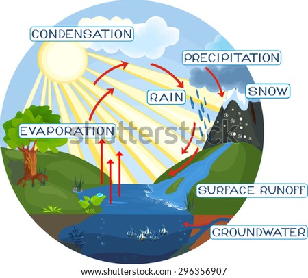 Water Cycle Stock Vector 296356907 - Shutterstock