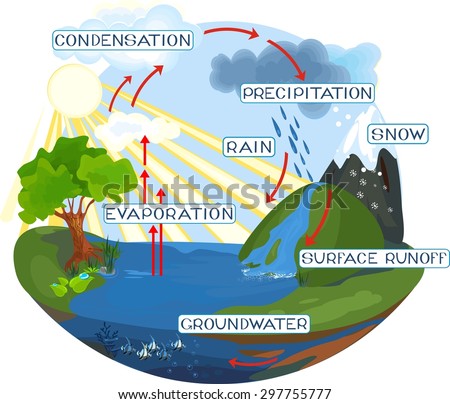 Water Cycle Stock Illustration 297755777 - Shutterstock