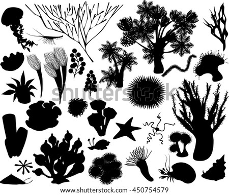 Sea Anemone Stock Images, Royalty-Free Images & Vectors | Shutterstock