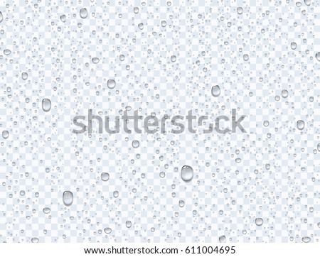 Water rain drops or steam shower isolated on transparent background. Vector clear vapor bubbles on window glass surface for your design