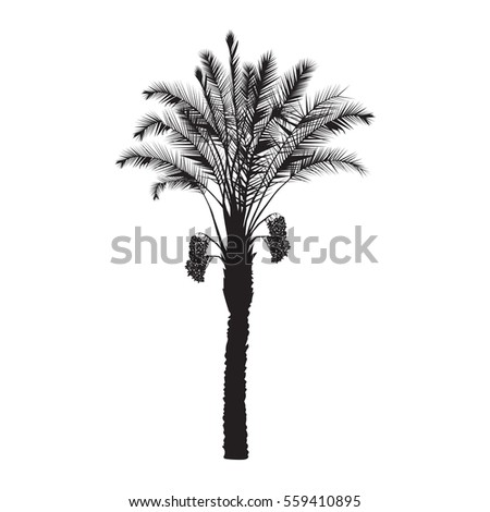 Date Tree Stock Images, Royalty-Free Images & Vectors | Shutterstock