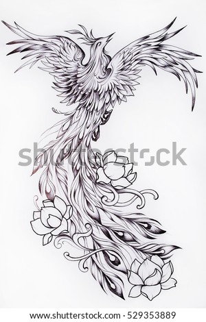 phoenix tattoo stock images royalty free images amp vectors phoenix tattoo stock images royalty free images amp vectors