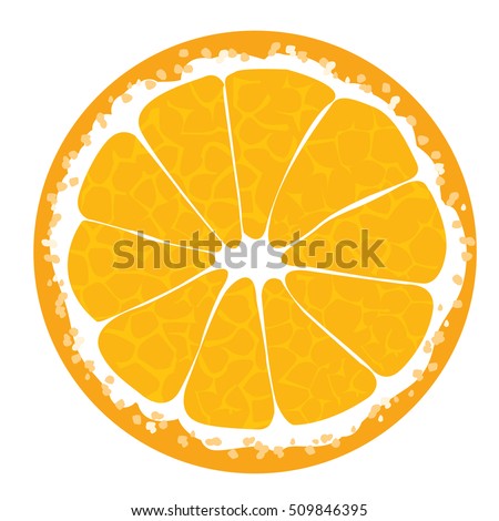 Orange slice . Orange icon. Orange illustration. Orange Orange Orange Orange Orange Orange Orange Orange Orange Vector illustration for decorative poster, emblem natural product, farmers market.