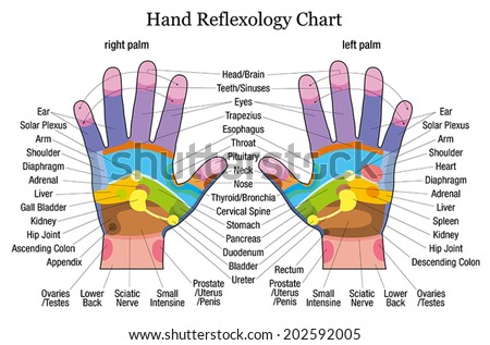 Image result for body reflexology