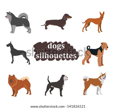 Bullmastiff Stock Images, Royalty-Free Images & Vectors | Shutterstock