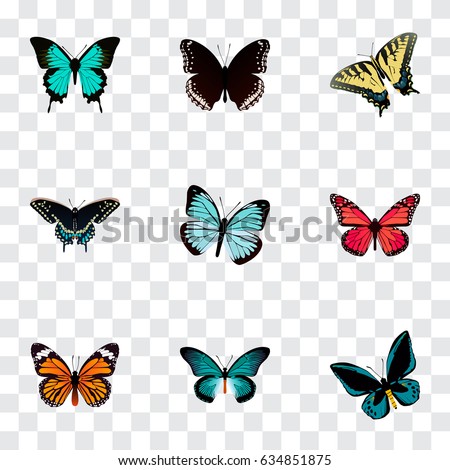 Morpho Stock Images, Royalty-Free Images & Vectors | Shutterstock