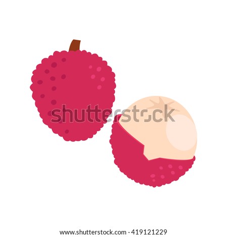 Tropical exotic fruit litchi, slices of fresh fruit vector illustration in flat cartoon style. Isolated icon. Fruit for juice and ingredients for healthy cooking, design vegetarian menu