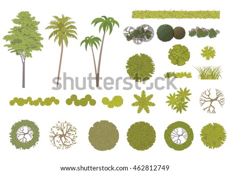 Trees Top View Your Own Landscape Stock Vector 436501285 - Shutterstock