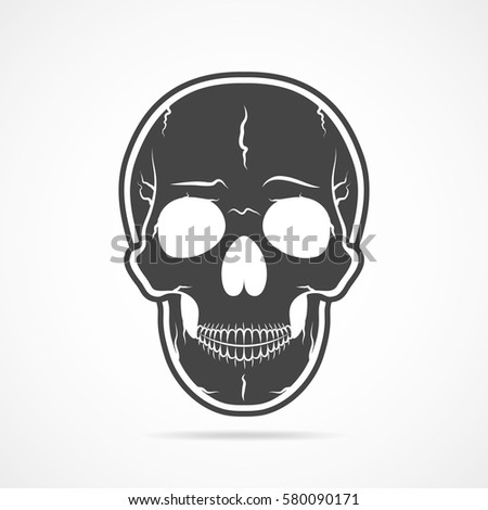 Black White Human Skull Without Lower Stock Vector 146708183 - Shutterstock