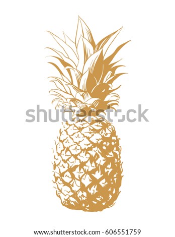 Vector hand drawn pineapple. Tropical summer fruit engraved style illustration. Perfect for invitations, greeting cards, posters.