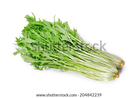 Potherb Mustard Stock Photos, Images, & Pictures | Shutterstock