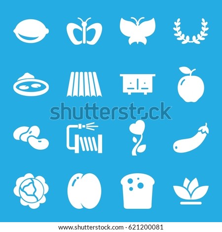 Natural icons set. set of 16 natural filled icons such as field, apple, peach, cabbage, bean, beehouse, butterfly, water hose, flower, pond, lemon, aubergine, heart flower