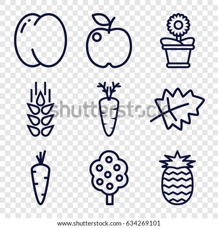 Organic icons set. set of 9 organic outline icons such as wheat, leaf, carrot, peach, tree, flower pot, pineapple