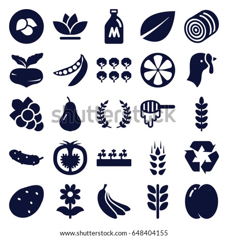 Organic icons set. set of 25 organic filled icons such as wheat, leaf, milk can, turkey, hay, potato, pear, peach, beet, tree, honey, grape, cucumber, flower, sprout plants