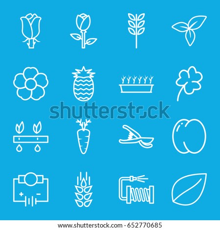 Plant icons set. set of 16 plant outline icons such as wheat, peach, rose, leaf, clover, garden tools, water hose, flower, carrot, pineapple