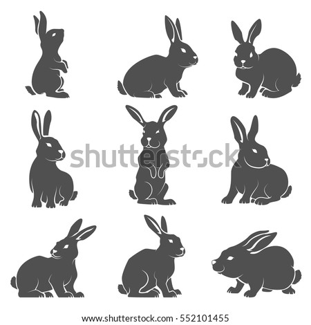 Rabbit Stock Images Royalty Free Images Vectors Shutterstock