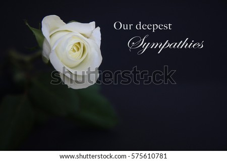 Sympathy Background Stock Images, Royalty-Free Images & Vectors ...