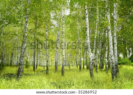 Ripped Pantyhose Xxx Pantyhose Fetish Birch Groves And Russian Beauties