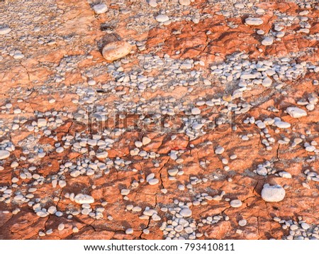 Silt Soil Stock Images Royalty Free Images Vectors 