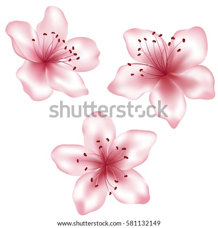 Set of vector pink flowers illustration, isolated on white background. Spring blossom element for card design needs. Peach blooming, apricot bloom, sakura flower or cherry blossom. Vector icon set.