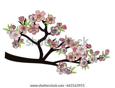 Peach blossom plant and Sakura flower vector