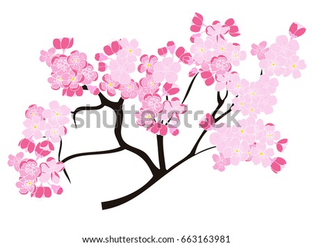 Peach blossom plant and Sakura flower vector