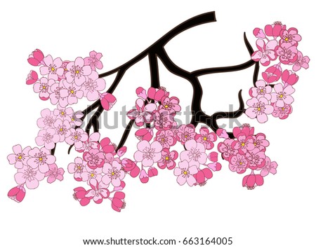 Peach blossom plant and Sakura flower vector