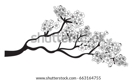 Doodle art Peach blossom plant and Sakura flower vector
