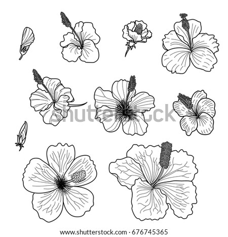 Set Few Monstera Leaves Black Colors Stock Vector 413417512 - Shutterstock