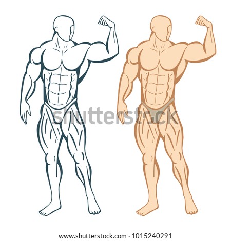 Bodybuilding Drawing Stock Images, Royalty-Free Images & Vectors