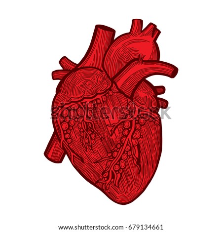 Coronary Heart Disease Stock Vector 28618678 - Shutterstock