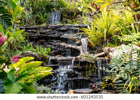 spring garden waterfall among the green tropical plants beautiful flower garden - Beautiful Flower Gardens Waterfalls spring garden waterfall among the green tropical plants beautiful flower garden - Beautiful Flower Gardens Waterfalls