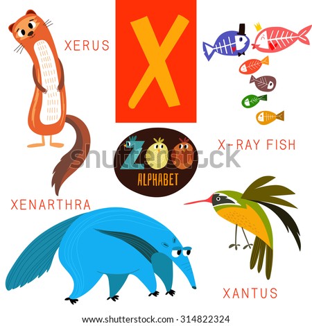 Animals That Start With The Letter X Google Search What Animal