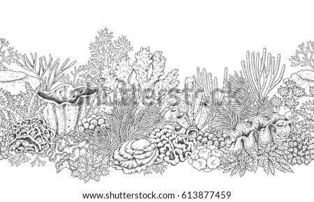 Hand drawn underwater natural elements. Seamless line horizontal pattern with reef corals. Monochrome sea bottom texture. Black and white illustration. Vector sketch.