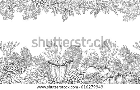 Hand drawn underwater natural elements. Seamless line horizontal pattern with reef corals. Monochrome sea bottom texture. Black and white illustration. Vector sketch.